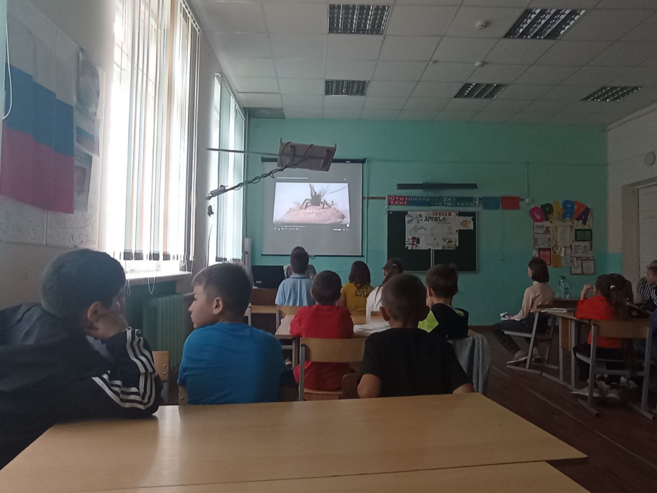Занятие &amp;quot;Опасные насекомые и растения&amp;quot;.